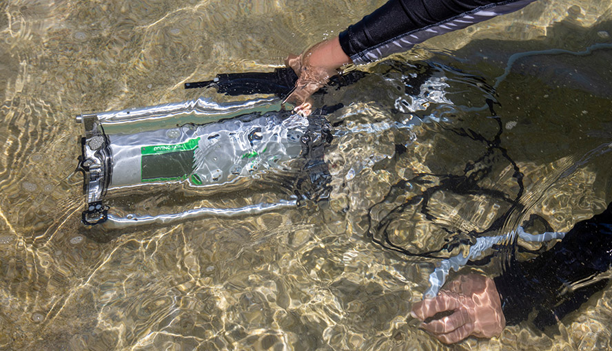 Measuring photosynthesis in beach rock biofilm, Heron Island, GBR, Australia. Photograph courtesy of Erik Trampe, Department of Biology, University of Copenhagen.