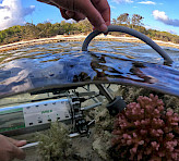 <p>Measuring photosynthesis in the coral <em>Pocillopora damicornis</em>, Heron Island, GBR, Australia. Photograph courtesy of Erik Trampe, Department of Biology, University of Copenhagen.</p>