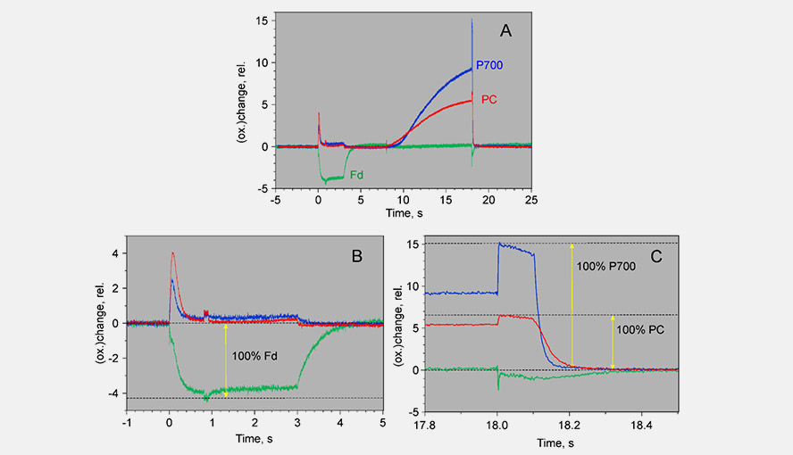 Example of an experiment to scale the deconvoluted Ferredoxin, P700 and plastocyanin signals.