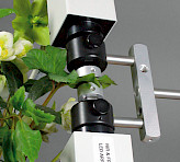 <p>DUAL-PAM-100 – P700 & Chlorophyll Fluorescence Measuring System</p>