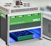 <p>Measurement of seedlings in a tray</p>