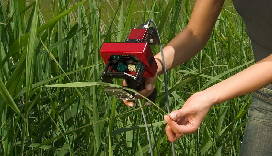 MINI version: Field measurement with IMAG-MIN and leaf clip IMAG-MIN/BK.
