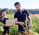 <p>Pulse-amplitude modulated (PAM) chlorophyll fluorometry in combination with saturation pulse analysis of fluorescence quenching is now a standard technique to assess plant photosynthesis.</p>