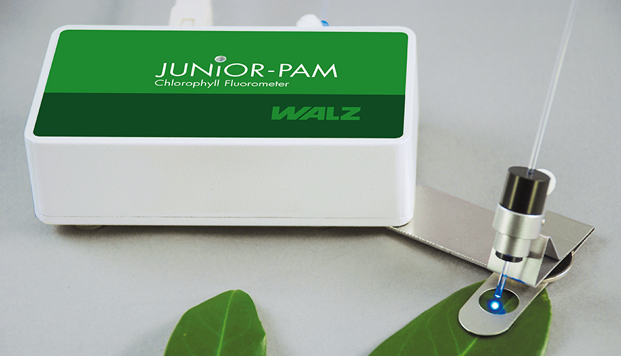 JUNIOR-PAM with 60&deg; leaf-clip mounted on swivel-type support.