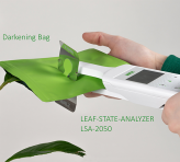 <p>Probing a leaf after predarkening in a Darkening Bag (LSA-2050/DB). Dark acclimation is important for correct determination of the maximum Photosystem II yield, F<sub>V</sub>/F<sub>M</sub>.</p>