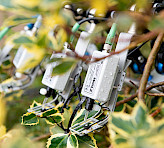 <p>Four MICRO-HEADs carrying out saturation pulse analysis with variegated leaves.</p>
