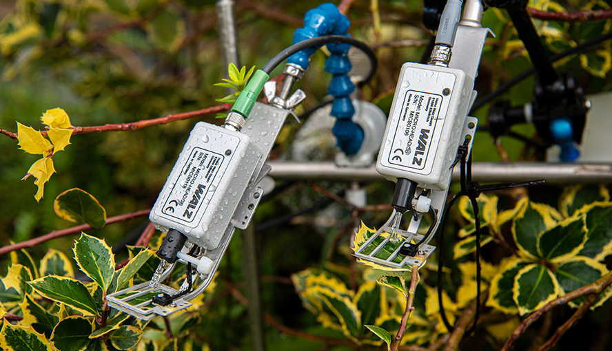 MICRO-HEADs carrying out saturation pulse analysis with variegated leaves.