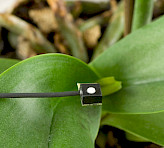 <p>Tiny Versatile Mini Quantum Sensor</p>