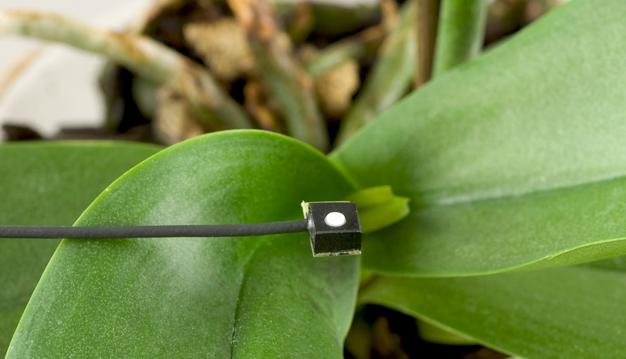 Tiny Versatile Mini Quantum Sensor