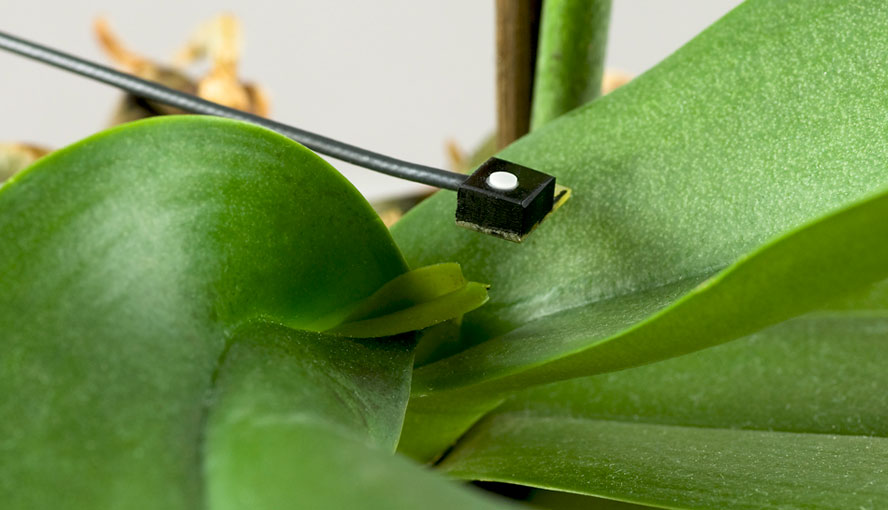 Mini Quantum Sensor