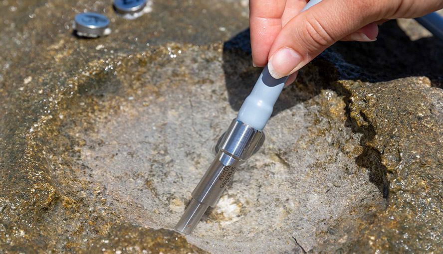Measuring beachrock photosynthesis.