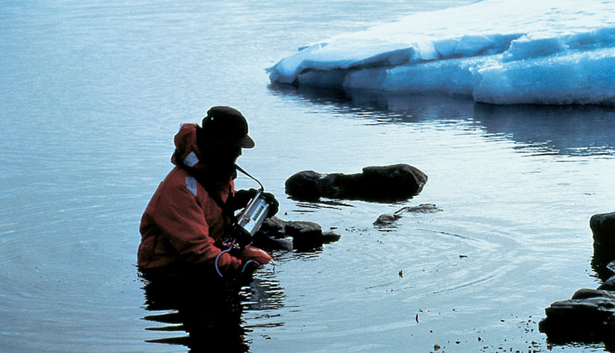 Studying brown algal photosynthesis in icy waters using the DIVING-PAM Underwater Fluorometer.
