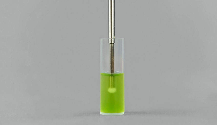 Tip of US-SQS/L in cuvette with algae suspension.
