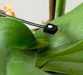 The LS-C Sensor.