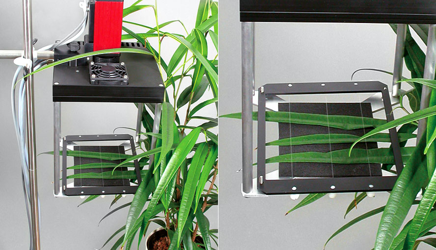 MAXI Version with open Leaf Distance Holder IMAG-MAX/B.