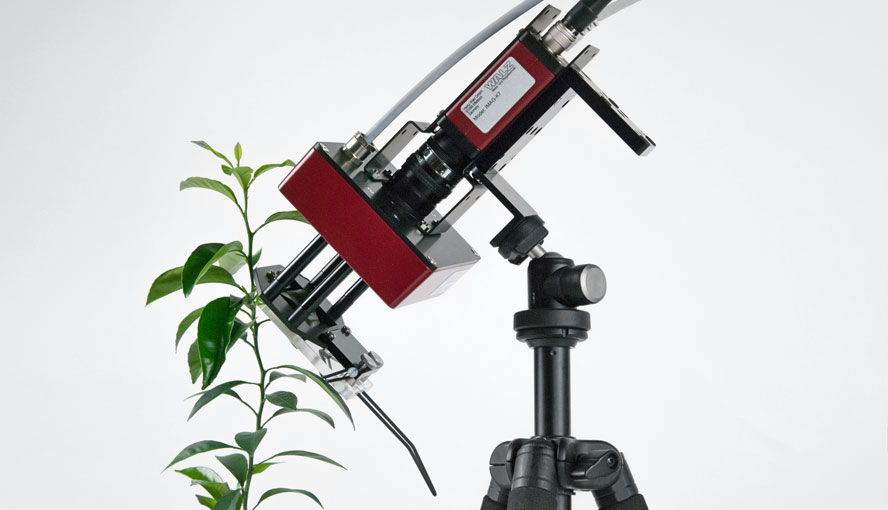 M-Series MINI version mounted on a Standard Measuring Head 3010-S of the GFS-3000 Gas Exchange & Fluorescence System.