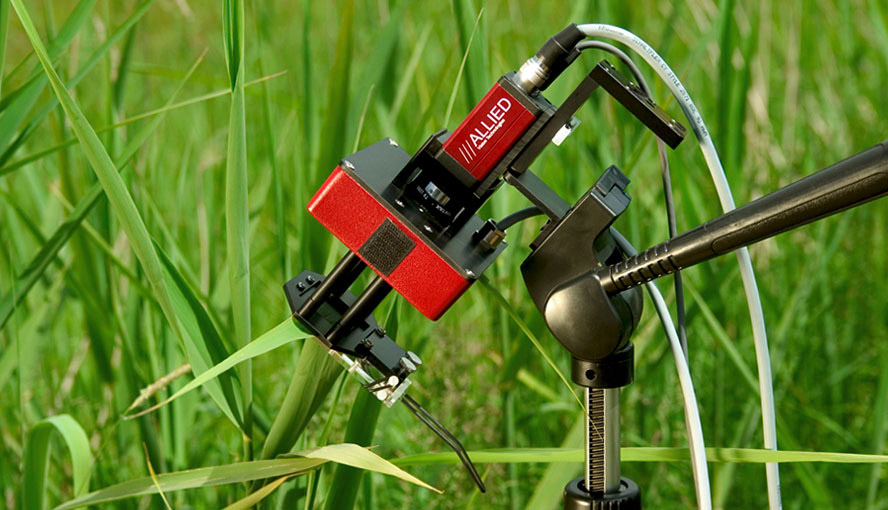 M-Series MINI version with IMAG-MIN/BK Leaf Holder mounted on tripod.