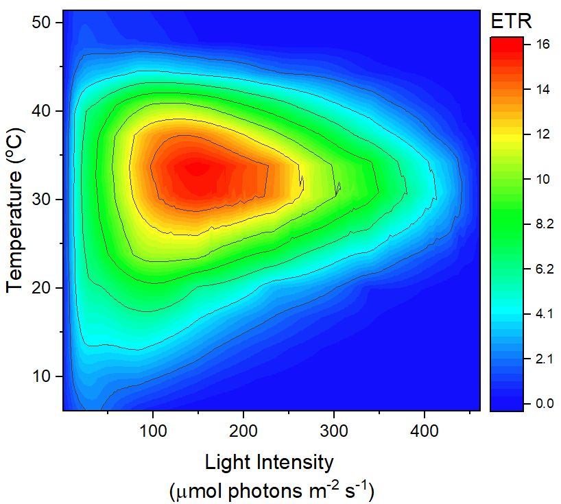 Electron transfer rates in Tilia cordata leaves as a function of light intensity and temperature.