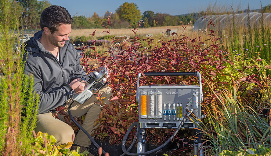 Combining high precision CO2 measurement with modern fluorescence and P700 measurements.