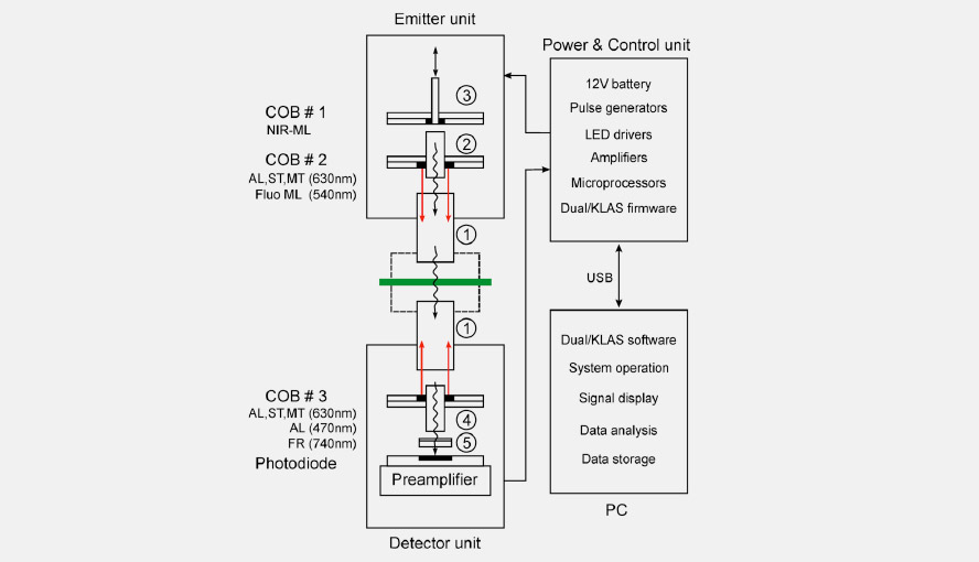 Scheme showing how the different light sources and the photodiode are oriented relative to each other in the DUAL-KLAS-NIR. ML = measuring light, AL = actinic light, ST = single turnover flash, MT = multiple turnover pulse, FR = far-red light, COB = chip-on-board (LED-array).
