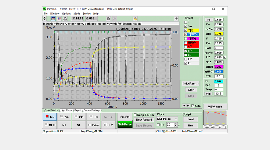 Slow kinetics window.
