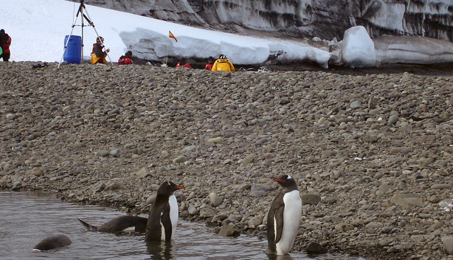 Monitoring of lichen photosynthesis: Livinston Island base camp, Antarctica.Photography by courtesy of Rolf Gademann.