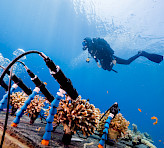 Coral Monitoring Station, realtime open access data on coral health. Photo credit: Omri Omessi.