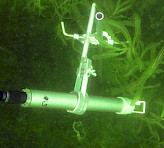 Continuous monitoring of photosynthesis in curly-leaf pondweed (Potamogeton crispus) by a MONI-HEAD/S sensor. (Limnological research base of the Technical University of Munich, Iffeldorf, headed by Prof. A. Melzer. A prototype with stainless steel housing is shown.).