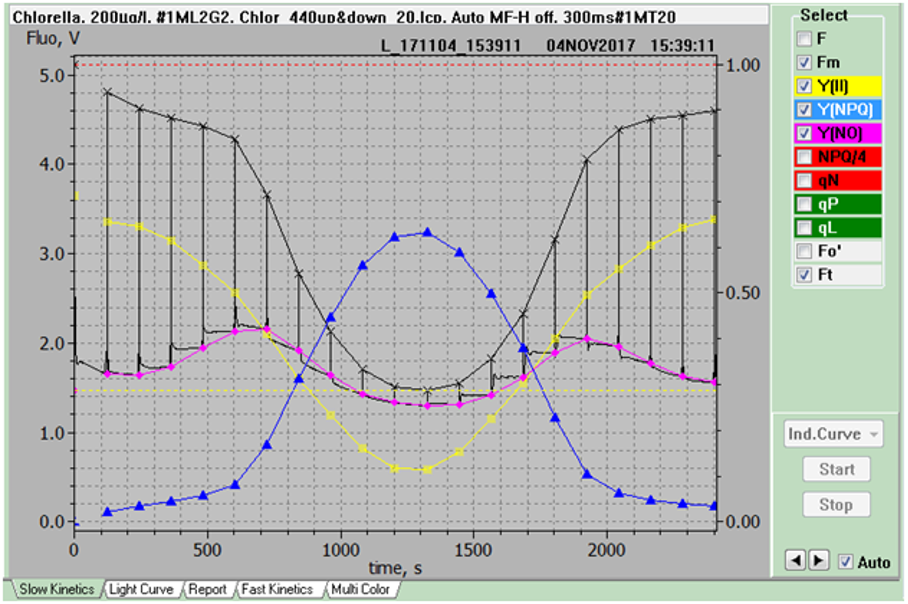 The first figure gives an example of a light curve recording of the complementary PS II quantum yields, Y(II)+Y(NPQ)+Y(NO)=1. where the light intensity was first increased and then decreased again. Due to memory effects the kinetics induced by the decreasing light intensities may differ from those of the increasing light intensities. This phenomenon is called hysteresis. The here observed full reversibility of light-induced lowering of Y(II) and increase of Y(NPQ) is characteristic for physiologically healthy samples.