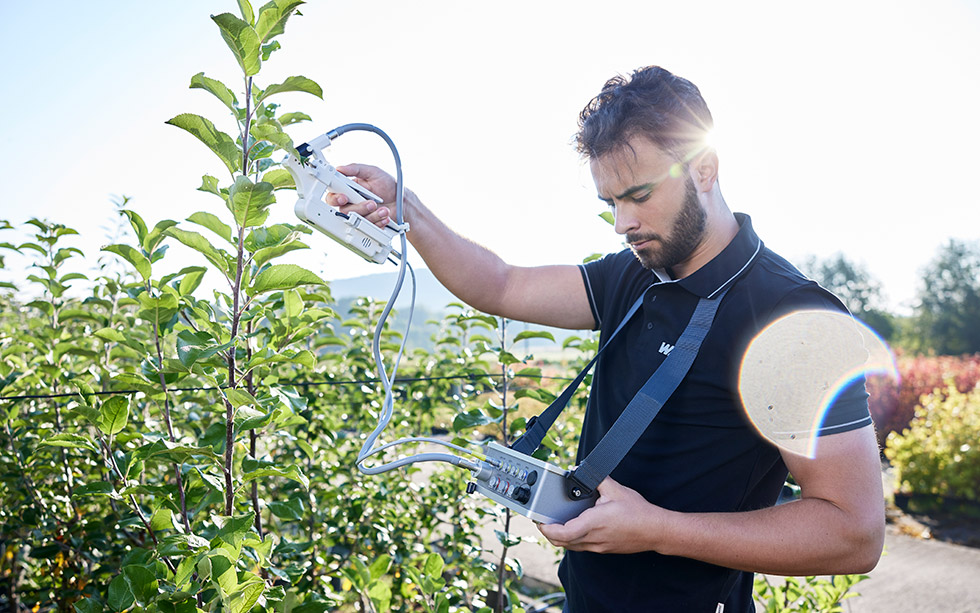 MINI-PAM-II with Porometer leaf clip: PAM fluorometry and stomatal conductance