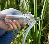 Leaf clip 2035-B.