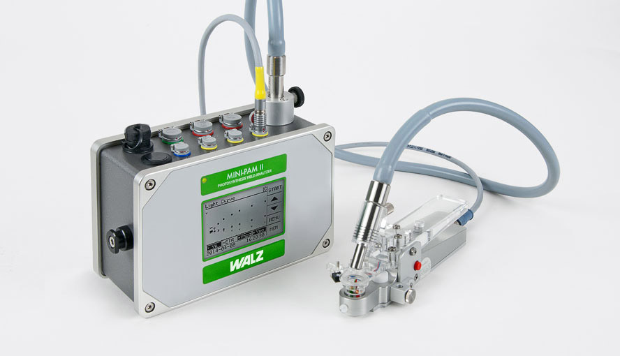 MINI-PAM-II Photosynthesis Yield Analyzer and leaf clip 2035-B.
