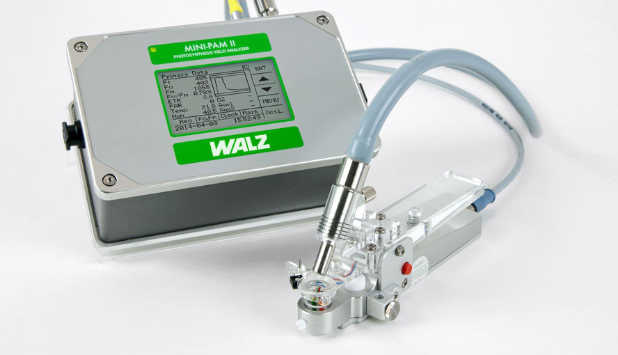 MINI-PAM-II Photosynthesis Yield Analyzer and leaf clip 2035-B.