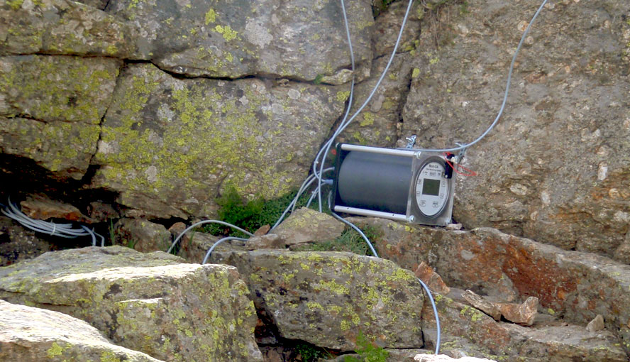 Monitoring of lichen photosynthesis.