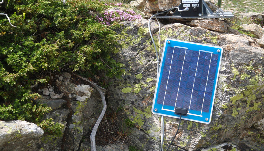 Solar panel for MONI-DA.