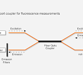 Figure 1: Outline of setup for fluorescence measurements. Measuring and actinic light from the LED is guided via the fiber optic coupler and the sample. Sample fluorescence is guided via the fiber optic coupler to the photomultiplier which is protected against LED light by a special filter set.