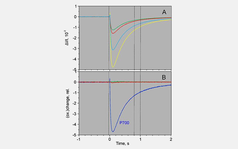 Screenshot of the experiment used to obtain the DMP for P700. In a light-adapted leaf being illuminated by far-red light, a 1 ms AL pulse induces almost exclusively changes in the P700 signal.