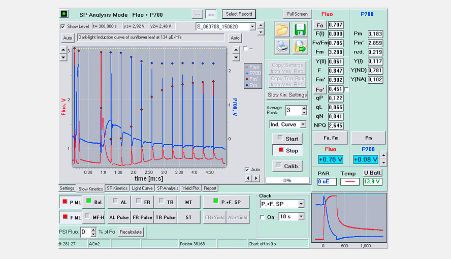 Fig. 1: Dual-channel fluorescence and P700 measurement
The simultaneously measured fluorescence and P700 responses reflect the interplay of the consecutive light reactions of PS II and PS I that are connected via the intersystem electron transport chain. The same transthylakoidal &Delta;pH that induces nonphotochemical quenching of Fm' with respect to Fm, causes P700 oxidation.
After light activation of CO2 fixation and subsequent ATP consumption in the Calvin-Benson cycle, the &Delta;pH relaxes, as indicated by parallel re-reduction of P700 and relaxation of nonphotochemical quenching (increase of Fm').