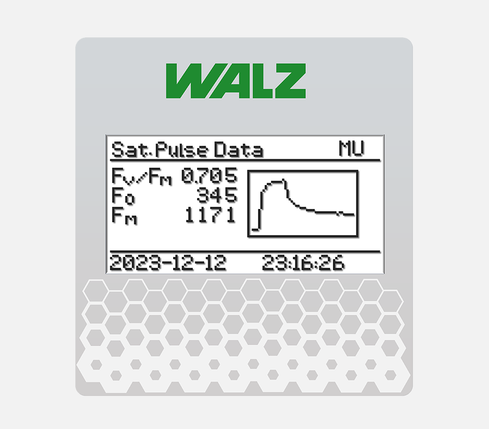 Sat. Pulse DataThe F0, FM, and FV/FM data plus the fluorescence transient induced by the saturation pulse are provided.