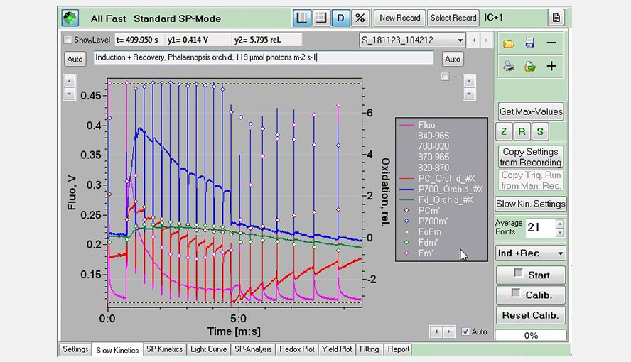 Screenshot of the Slow Kinetics window: An induction (actinic light: 119 &micro;mol photons m-2 s-1) + recovery experiment (pink: Chl fluorescence; red: PC; blue: P700; green: Fd), measured on a Phalaenopsis leaf.