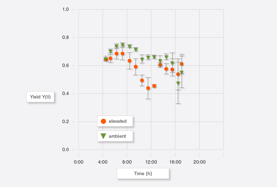 Figure 1: Average diurnal variation of the effective photochemical quantum yield of PS II, Y(II), in leaves of Vitis viniferavariety Riesling. Measurements of 14 days in June, 2014 are averaged. Data of leaves grown under ambient and elevated CO2 concentrations are shown (see legend). Experimental site: The Geisenheim FACE facility. Data by courtesy of S. Tittmann and Y. Wohlfahrt, Hochschule Geisenheim.