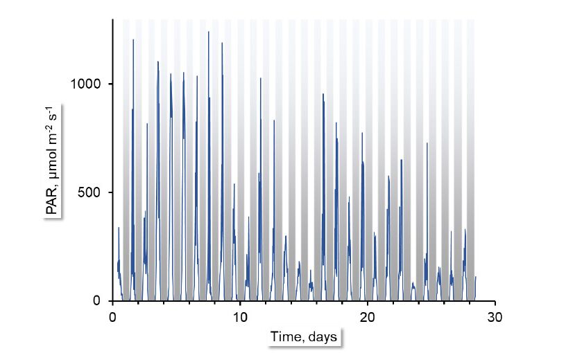 Figure 2: Time course of PAR. Periods of darkness are in marked grey.