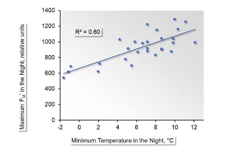 Figure 4: Maximum FM’ in the night plotted against minimum night temperature.
