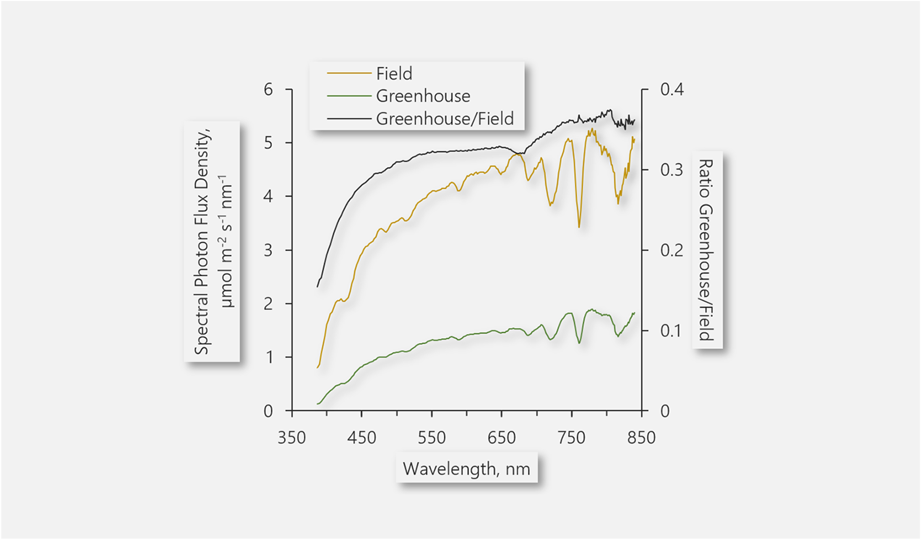 Light spectra measured at noon in the greenhouse (green line) and in the field (dark yellow). The ratio spectrum &ldquo;Greenhouse/Field&rdquo; (black line) dropped from roughly 0.3 at 500 nm to about 0.15 at 400 nm. This drop is due absorption of blue light by the greenhouse, which becomes prominent in the UV range. Spectra were recorded with a Miniature Spectrometer MINI-SPEC/MP (see MINI-PAM-II, Accessories).&nbsp;