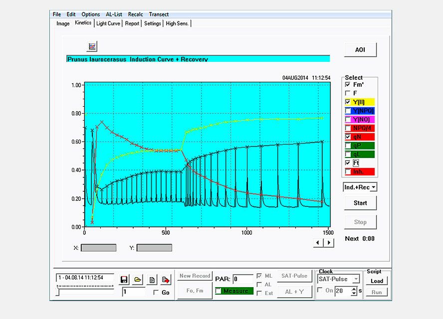 Kinetics window with evaluation of an automated illumination phase, called induction curve plus recovery time.