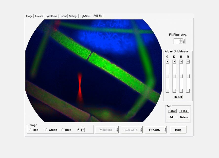 RGB‐FIT window MICROSCOPY version; green filamentous algae with diatom epiphytes.