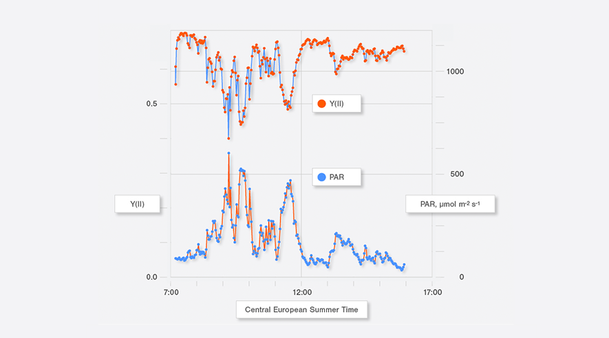 Figure 1: Effective quantum yield of photosystem II photochemistry (Y(II)) of an attached holly leaf (Ilex aquifolium) and photosynthetically active radiation (PAR) during a partly cloudy spring day. During the first half of the day, PAR increased occasionally to values around 500 &mu;mol m-2s-1 and the Y(II) varied in an opposite manner to PAR.&nbsp;