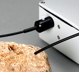 WATER-EDF, the emitter-detector unit of WATER-PAM FIBER Version examining traces of photosynthetic cells.