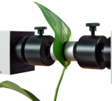 <p>DUAL-PAM-100 – P700 & Chlorophyll Fluorescence Measuring System</p>