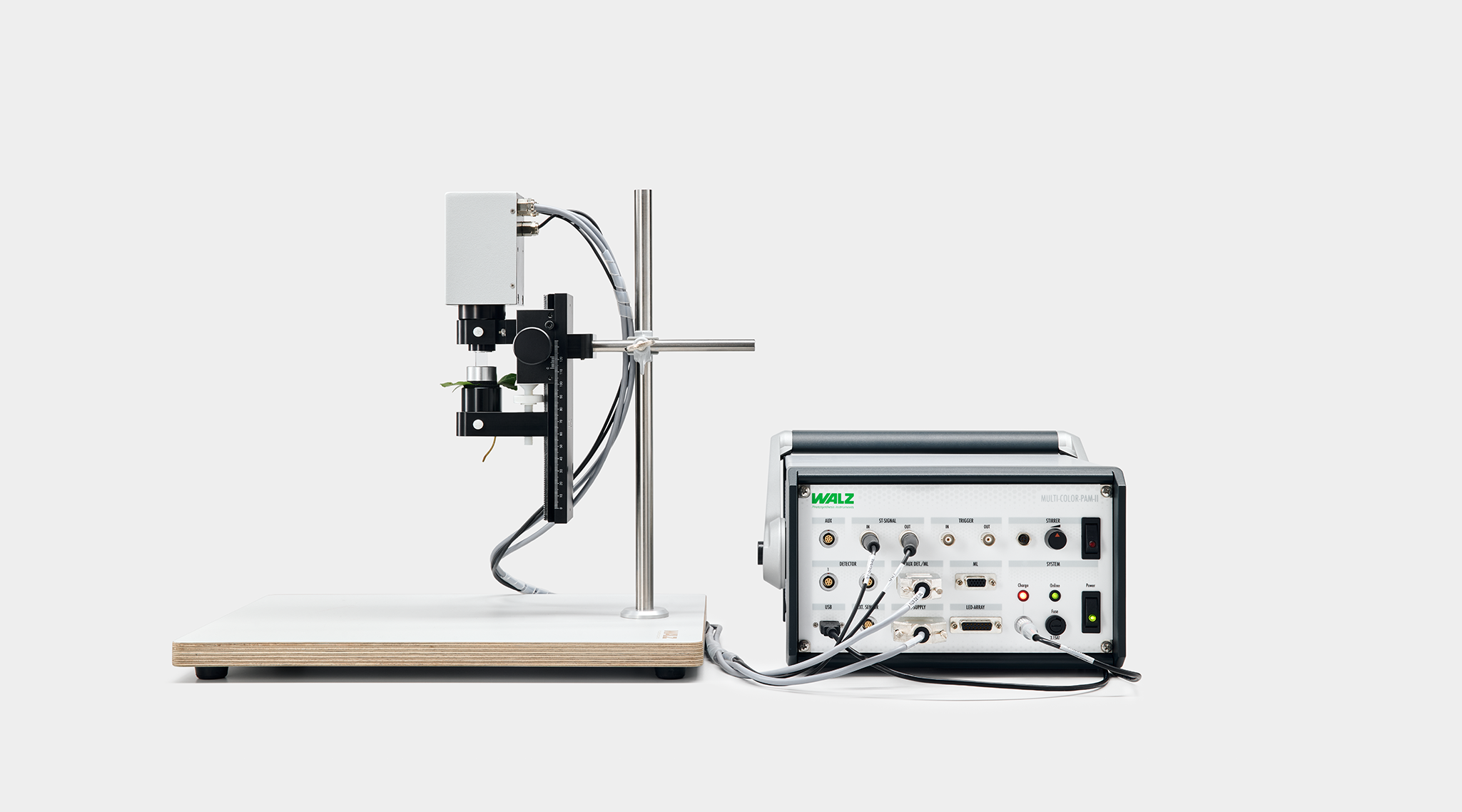 Standalone configuration of the strong flash lamp MCP-II-EDST of the MULTI-COLOR-PAM-II with the leaf support accessory MCP-II-LS keeping the leaf in place.